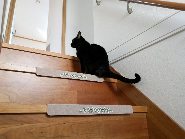 f:id:hiraryo0201:20190422130042j:image