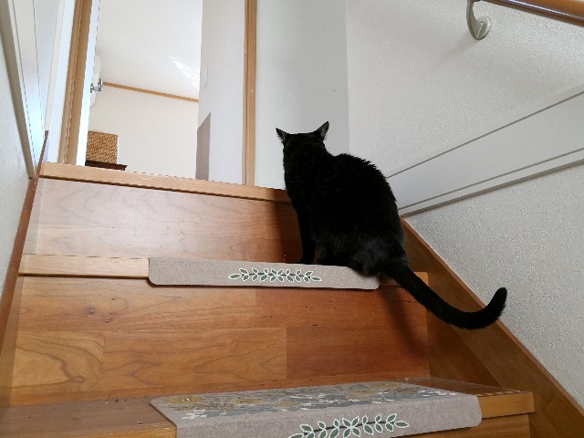 f:id:hiraryo0201:20190422130055j:image