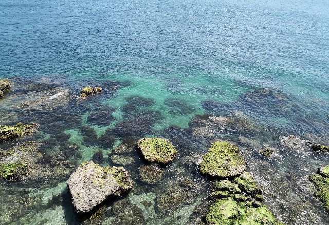 f:id:hiraryo0201:20190427213401j:image