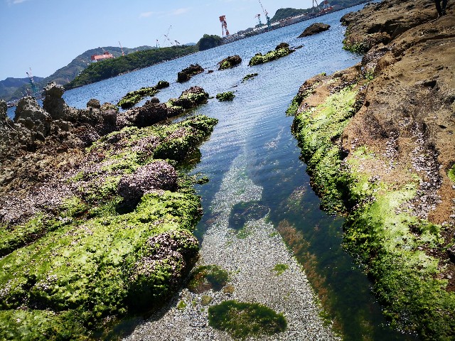 f:id:hiraryo0201:20190427213417j:image