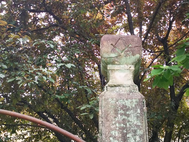 f:id:hiraryo0201:20190428182539j:image