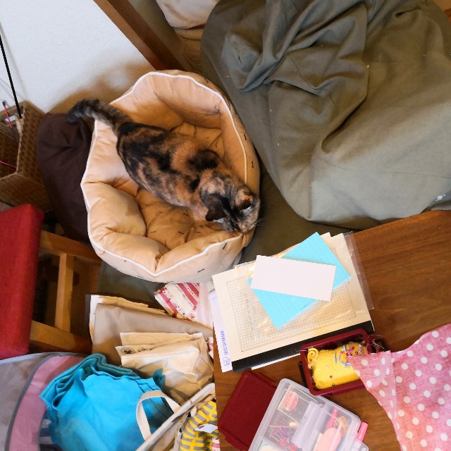 f:id:hiraryo0201:20190503124834j:image f:id:hiraryo0201:20190503124834j:image