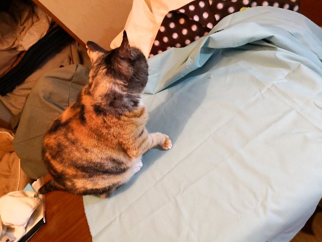 f:id:hiraryo0201:20190503124906j:image f:id:hiraryo0201:20190503124906j:image