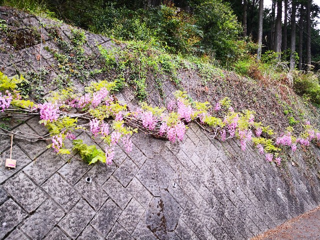 f:id:hiraryo0201:20190506010723j:image