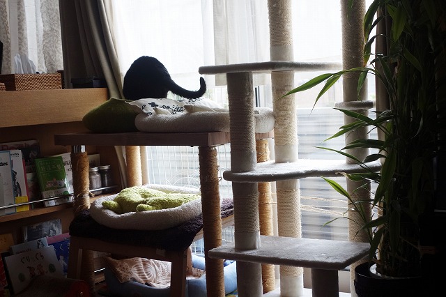 f:id:hiraryo0201:20190506092425j:plain