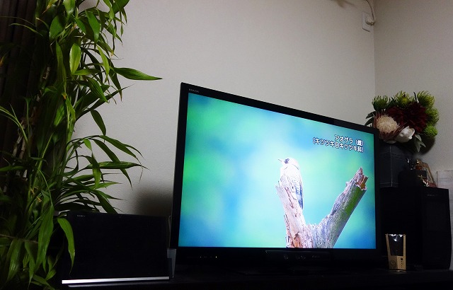 f:id:hiraryo0201:20190506092632j:plain f:id:hiraryo0201:20190506092632j:plain