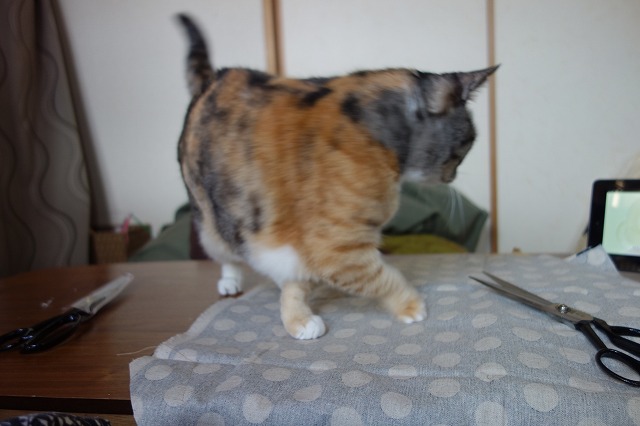 f:id:hiraryo0201:20190512211509j:plain f:id:hiraryo0201:20190512211509j:plain