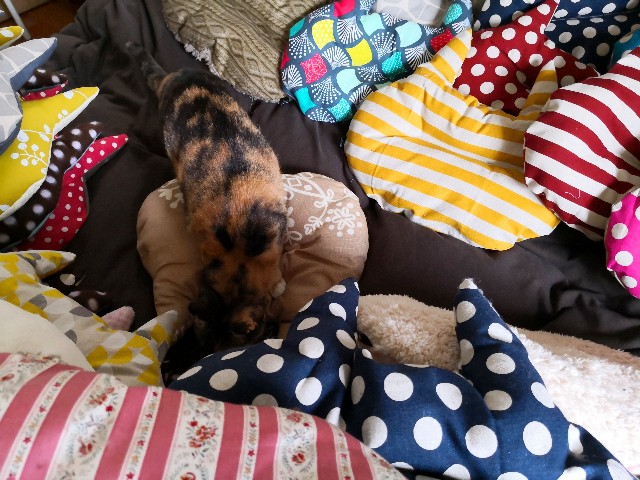 f:id:hiraryo0201:20190512221235j:plain f:id:hiraryo0201:20190512221235j:plain