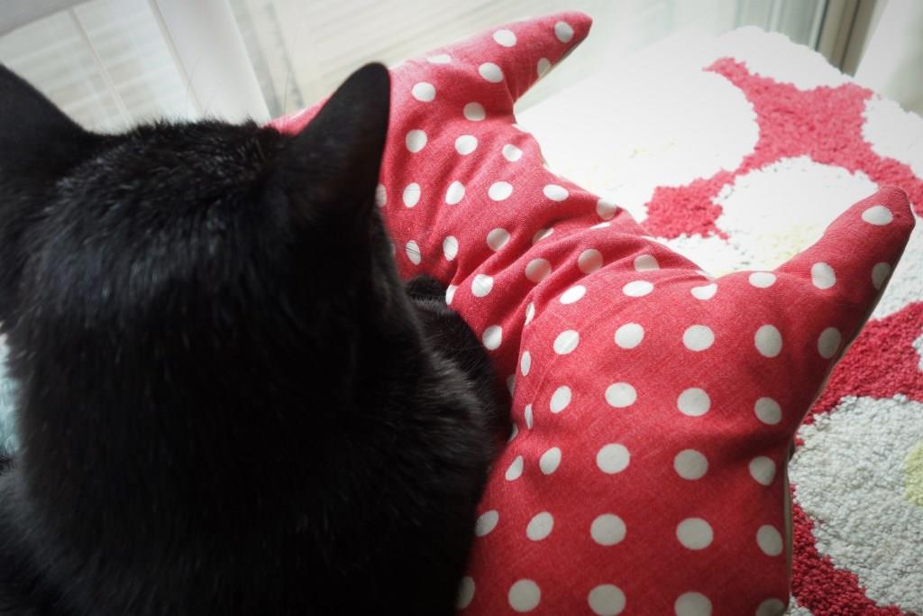 f:id:hiraryo0201:20190512222658j:plain f:id:hiraryo0201:20190512222658j:plain