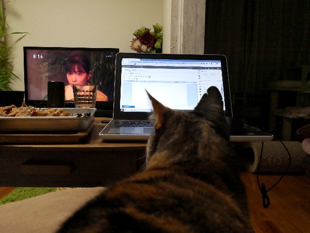 f:id:hiraryo0201:20190525225532j:image f:id:hiraryo0201:20190525225532j:image