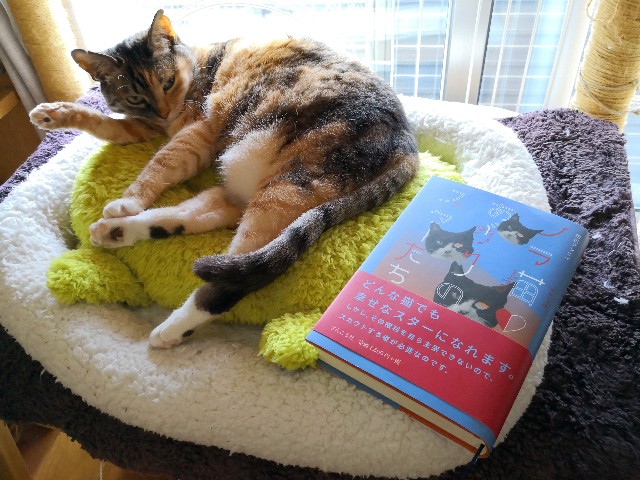 f:id:hiraryo0201:20190526201656j:image f:id:hiraryo0201:20190526201656j:image