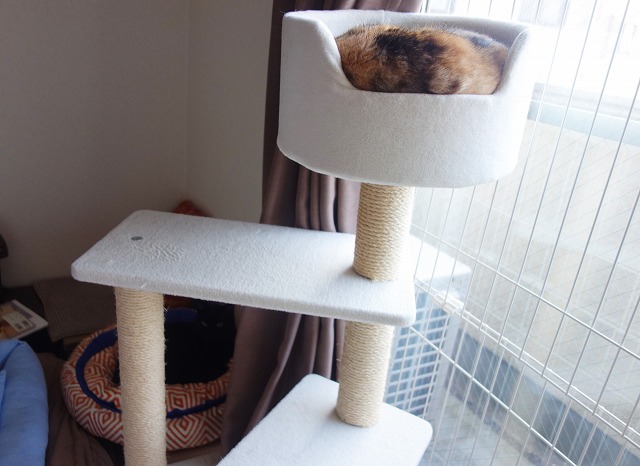 f:id:hiraryo0201:20190601172311j:plain