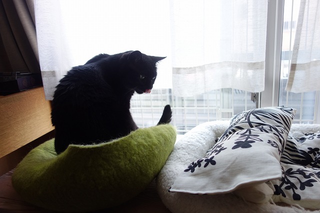 f:id:hiraryo0201:20190601173010j:plain