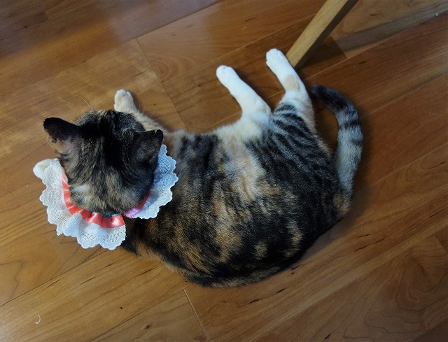 f:id:hiraryo0201:20190601173115j:plain