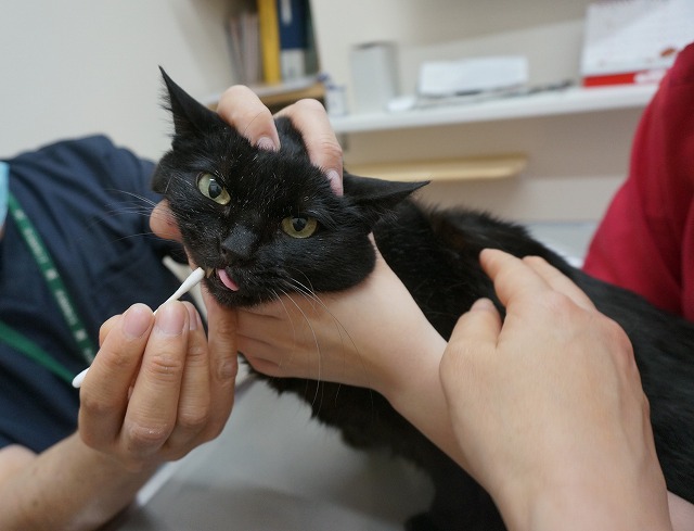 f:id:hiraryo0201:20190601193955j:plain f:id:hiraryo0201:20190601193955j:plain