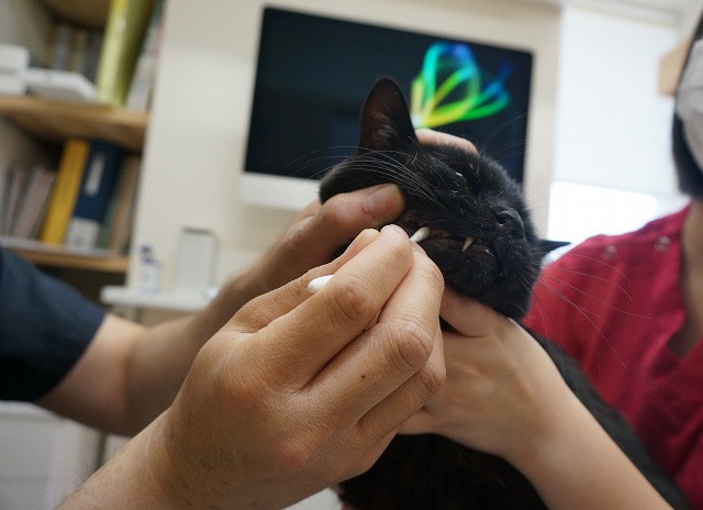 f:id:hiraryo0201:20190601194006j:plain f:id:hiraryo0201:20190601194006j:plain