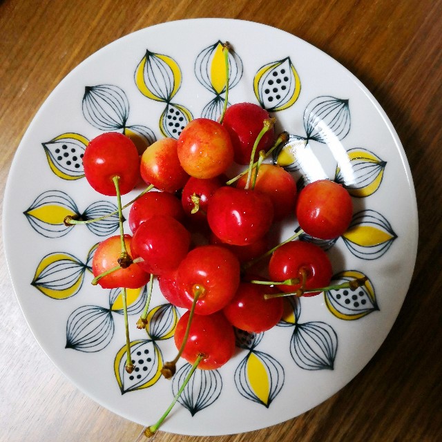 f:id:hiraryo0201:20190622121830j:image