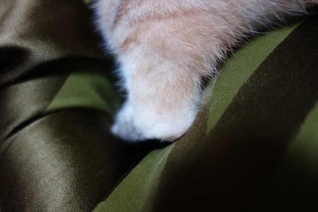 f:id:hiraryo0201:20190622123748j:plain