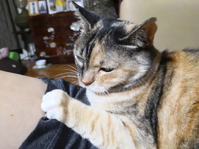 f:id:hiraryo0201:20190623130312j:image f:id:hiraryo0201:20190623130312j:image