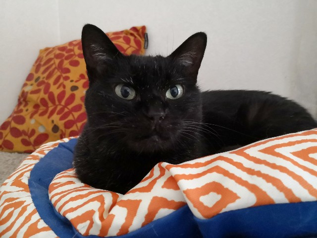 f:id:hiraryo0201:20190623132113j:image f:id:hiraryo0201:20190623132113j:image