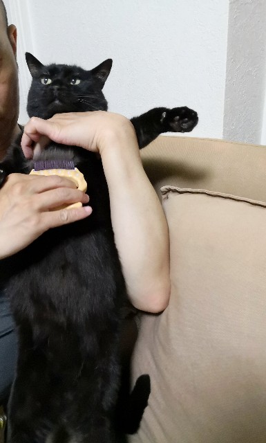 f:id:hiraryo0201:20190625193722j:image