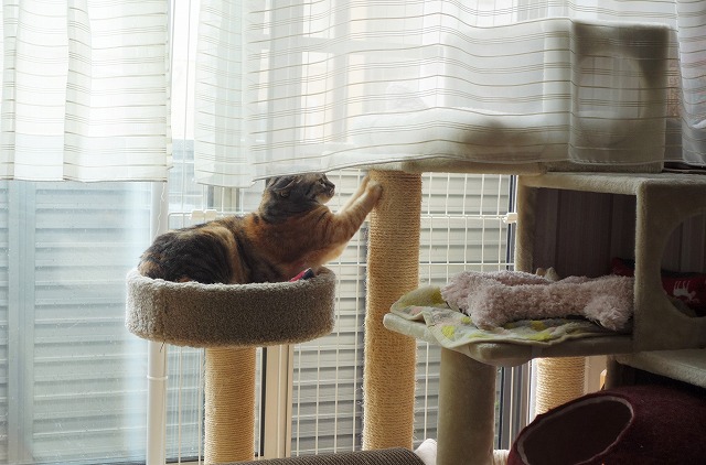 f:id:hiraryo0201:20190628223139j:plain