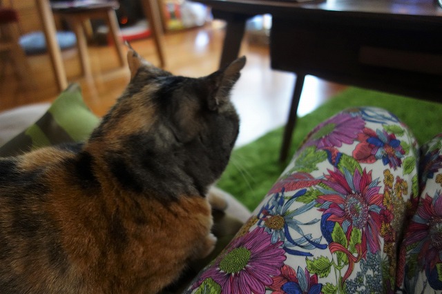 f:id:hiraryo0201:20190628224538j:plain f:id:hiraryo0201:20190628224538j:plain