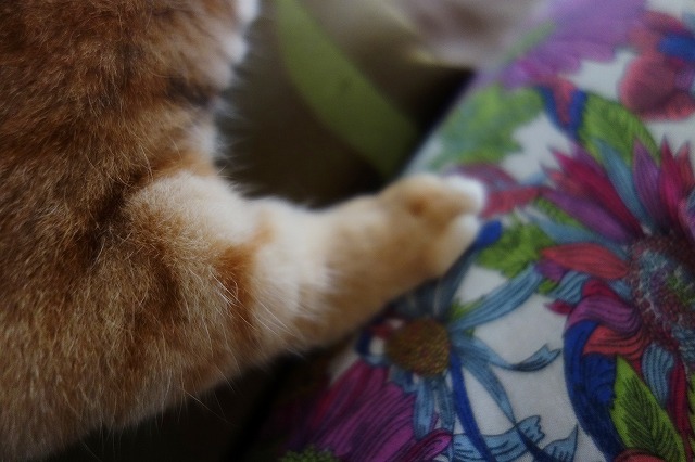 f:id:hiraryo0201:20190628224614j:plain f:id:hiraryo0201:20190628224614j:plain