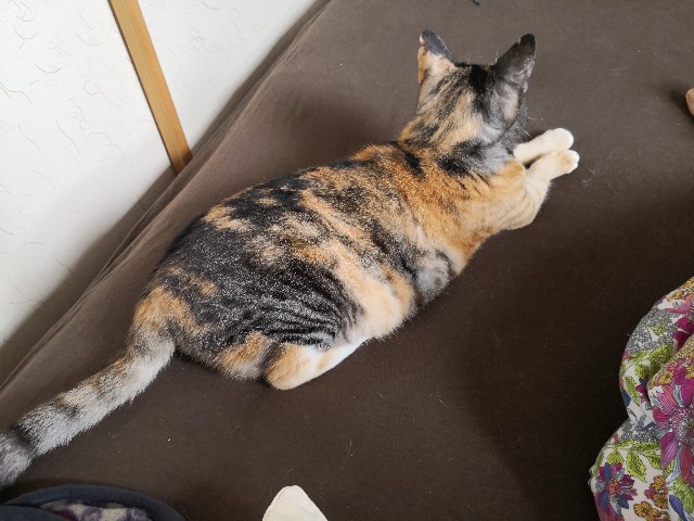 f:id:hiraryo0201:20190628225852j:image f:id:hiraryo0201:20190628225852j:image