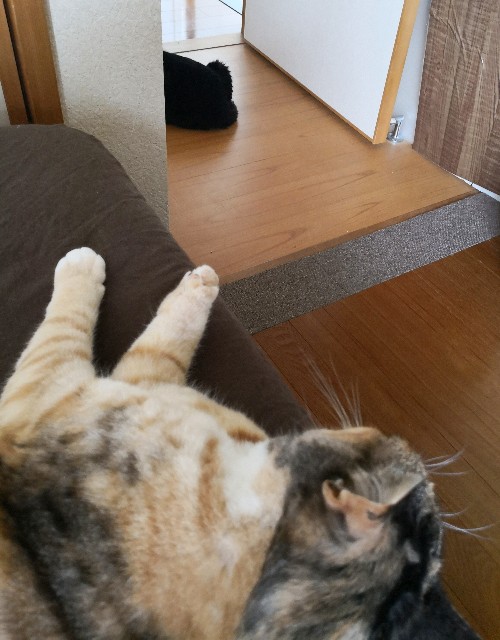 f:id:hiraryo0201:20190628225940j:image f:id:hiraryo0201:20190628225940j:image