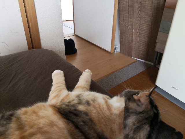 f:id:hiraryo0201:20190628225948j:image f:id:hiraryo0201:20190628225948j:image