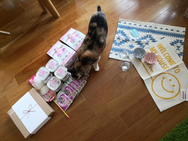 f:id:hiraryo0201:20190703201814j:image