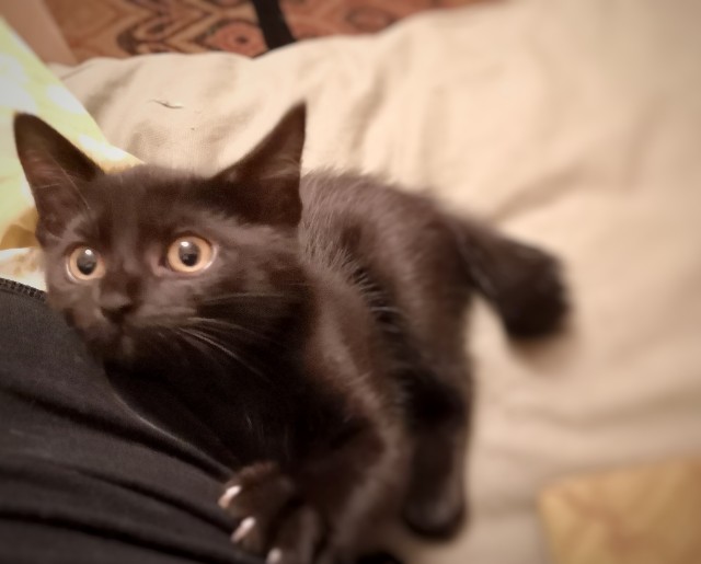 f:id:hiraryo0201:20190709124023j:image f:id:hiraryo0201:20190709124023j:image