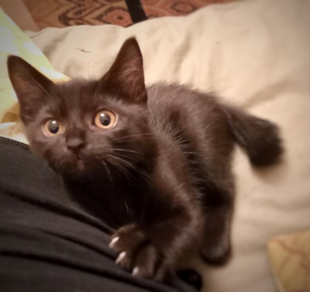 f:id:hiraryo0201:20190709124041j:image f:id:hiraryo0201:20190709124041j:image