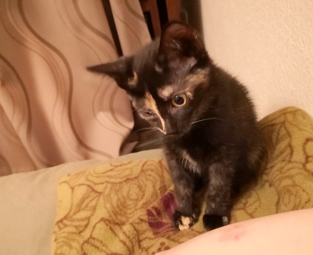 f:id:hiraryo0201:20190709124100j:image f:id:hiraryo0201:20190709124100j:image