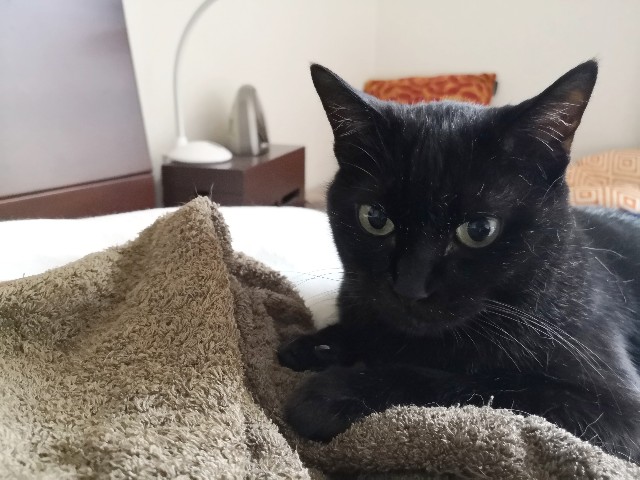 f:id:hiraryo0201:20190715124612j:image f:id:hiraryo0201:20190715124612j:image