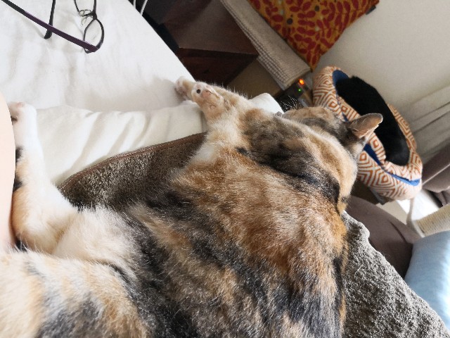 f:id:hiraryo0201:20190715124629j:plain f:id:hiraryo0201:20190715124629j:plain