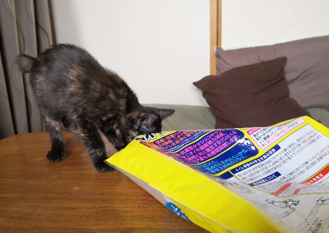 f:id:hiraryo0201:20190715141942j:plain f:id:hiraryo0201:20190715141942j:plain