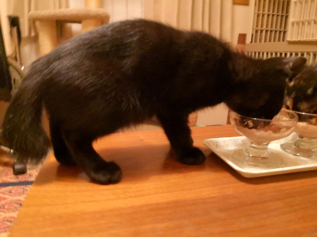 f:id:hiraryo0201:20190716230632j:image f:id:hiraryo0201:20190716230632j:image