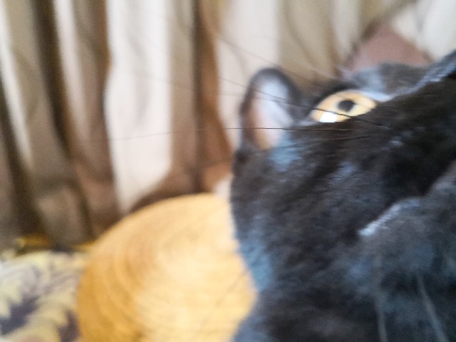 f:id:hiraryo0201:20190727225952j:image f:id:hiraryo0201:20190727225952j:image