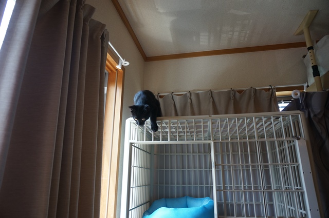 f:id:hiraryo0201:20190804181346j:plain f:id:hiraryo0201:20190804181346j:plain