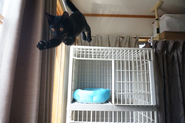 f:id:hiraryo0201:20190804181628j:plain f:id:hiraryo0201:20190804181628j:plain