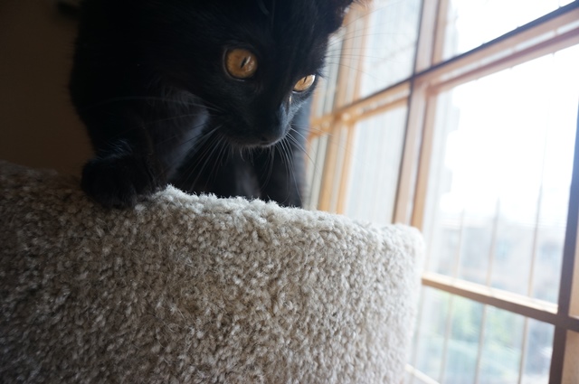 f:id:hiraryo0201:20190804184656j:plain f:id:hiraryo0201:20190804184656j:plain