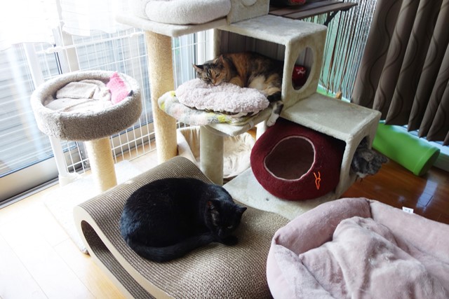 f:id:hiraryo0201:20190804192707j:plain f:id:hiraryo0201:20190804192707j:plain