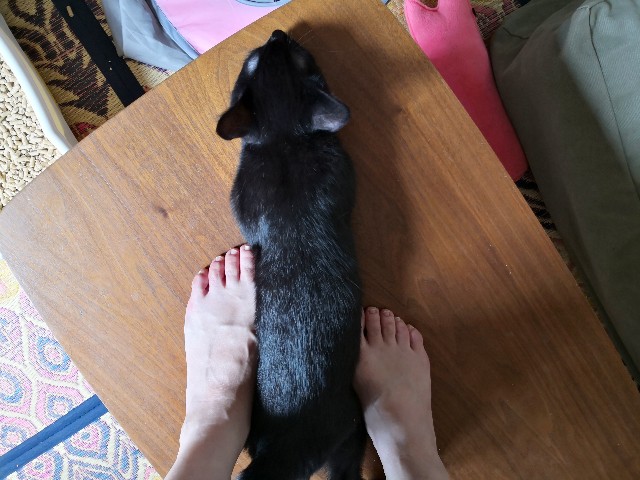 f:id:hiraryo0201:20190813115306j:image