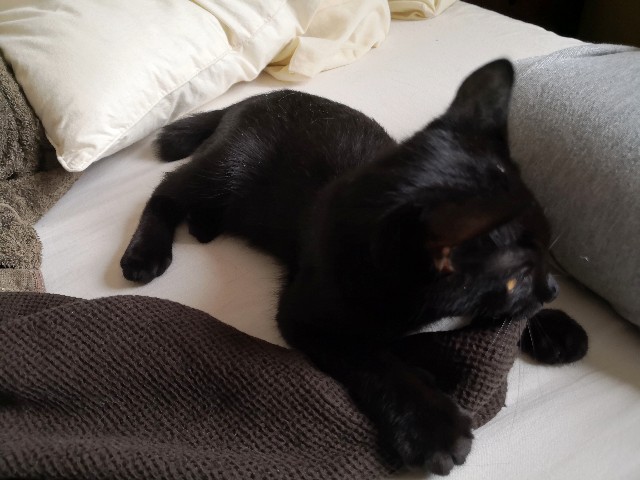 f:id:hiraryo0201:20190813115727j:image