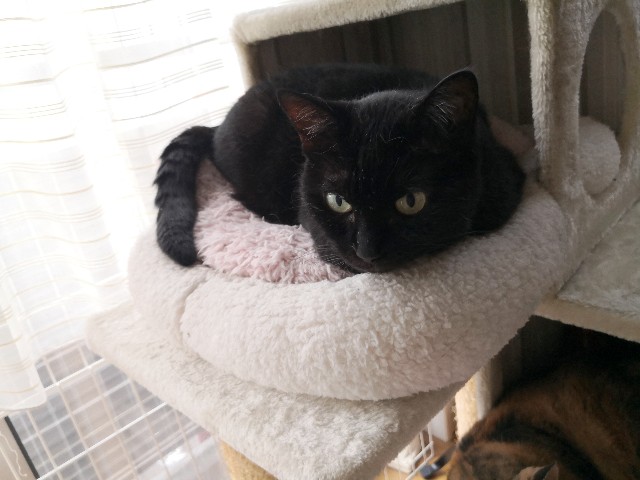 f:id:hiraryo0201:20190817210534j:plain f:id:hiraryo0201:20190817210534j:plain