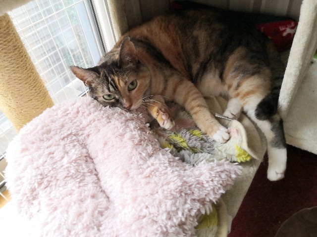 f:id:hiraryo0201:20190817210549j:plain f:id:hiraryo0201:20190817210549j:plain