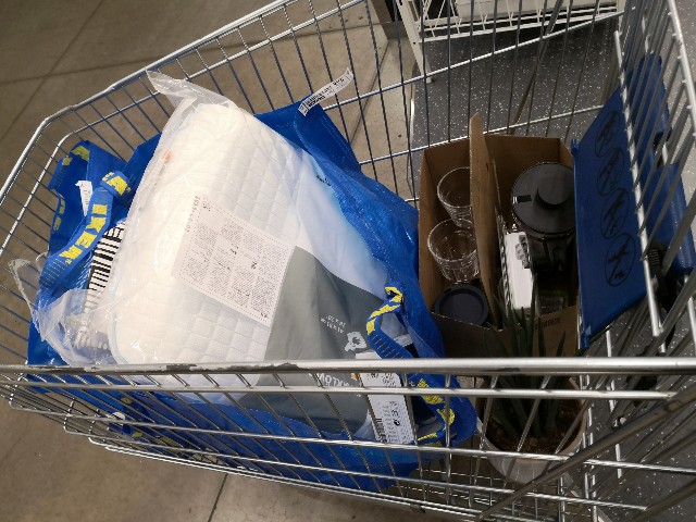 f:id:hiraryo0201:20190817210722j:image f:id:hiraryo0201:20190817210722j:image