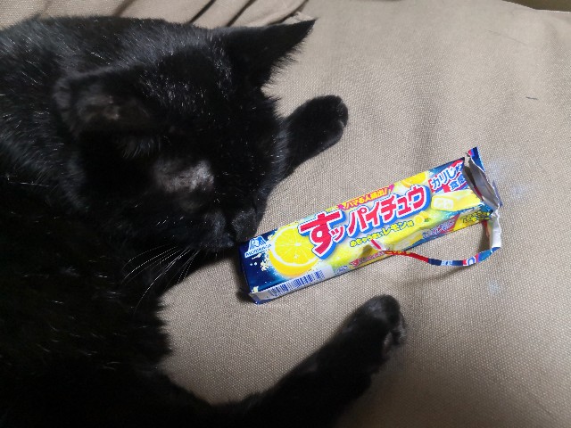 f:id:hiraryo0201:20190817223949j:image